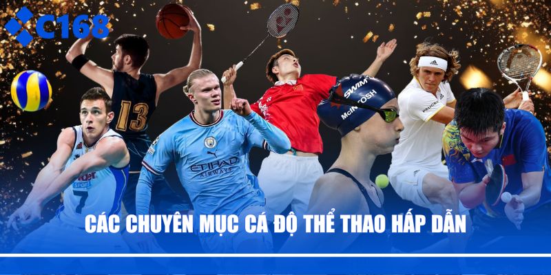 Các chuyên mục cá độ thể thao hấp dẫn 